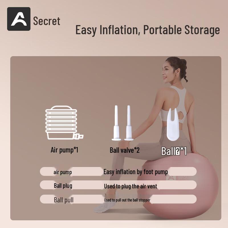 Pregnancy & Fitness Yoga Ball