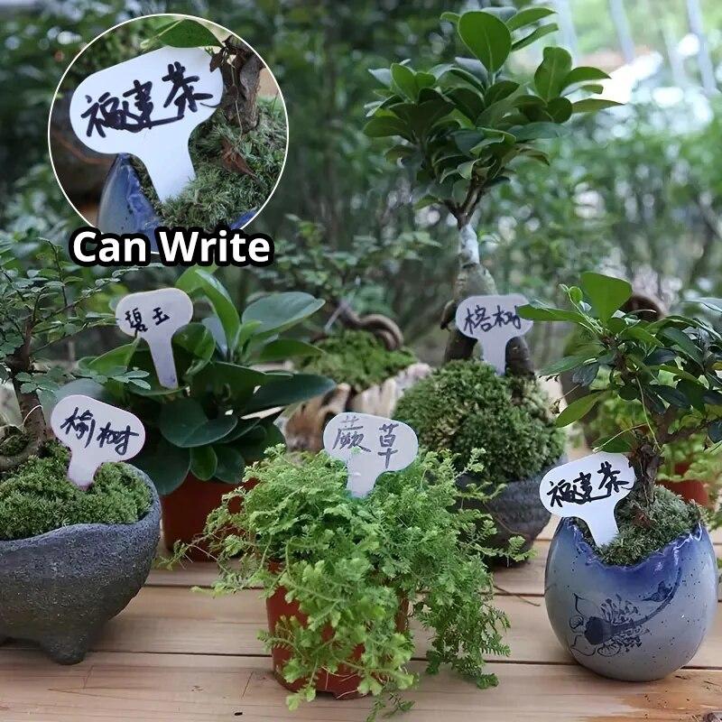 

100pcs Waterproof T-shaped Socket Gardening Label Outdoor Garden Plant Tags Plastic Reusable Plant Labels Hanging Marking Tags 100pcs&5x7cm белый