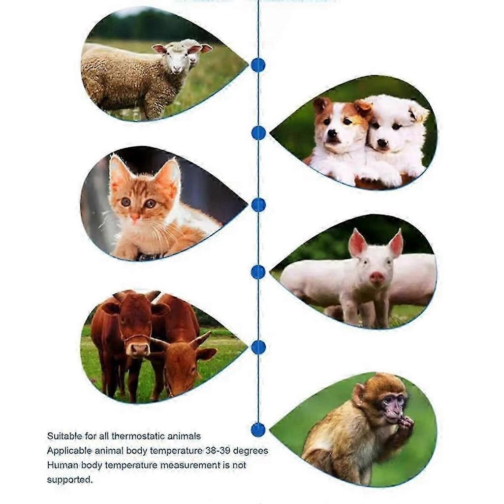 Pet Dog Cat Ear Thermometer Animal Thermometers for Cats Animal Measuring Non-Contact Electronic fo