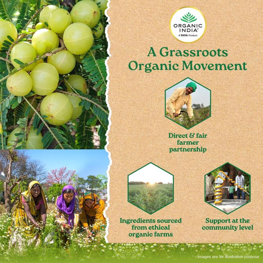 ORGANIC INDIA Amalaki Veg Capsules Natural Wellness Supplement For Daily Vitality And Energy Support With Antioxidant Benefits 60 Capsules