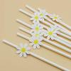 Creative Pink Daisy Party Straws with Decorative Card