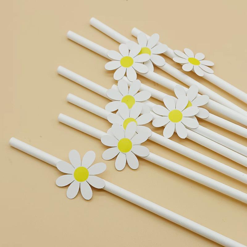 Creative Pink Daisy Party Straws with Decorative Card
