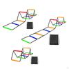 Agilition Equipment Agility Equipment, Football , Fitness Feet Training