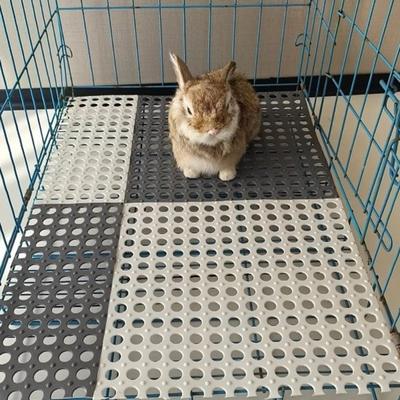 6pcs Non-slip Rabbit Floor Mat Hollow Pet Cage Pad Practical Floor Mat  Pet Cage