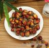 Festive Simulation Acorns & Chestnuts Ornaments for Home & Christmas Decor