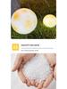 Solar-Powered Moon Lamp for Garden and Yard - Waterproof Decorative Outdoor Light