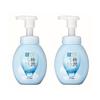 Hada Labo Gokujyun Hyaluronic Foam Cleanser 160ml 2 Set