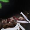 10pcs Plastic Pig Umbilical Cord Clamp White Hemostatic Disposable Clips  Goat