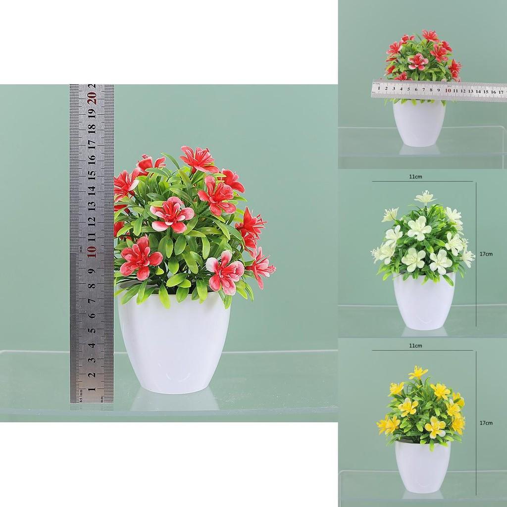 Plastic Causonis Japonica Plant For Indoor Decoration Perfect For Living Room And Office