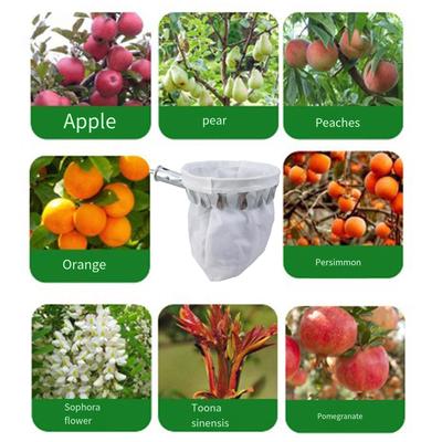 Fruit Picker Head Basket Fruit Picking Tool with Basket Lemon Picker Pole Tool Fruits Catcher Bag for Harvest Picking