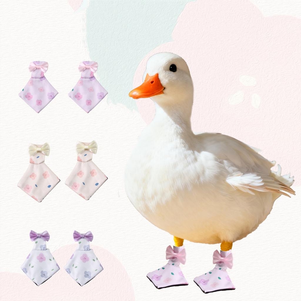 Pet Shoes -Dirt - Outdoor Boots for Call Poultry