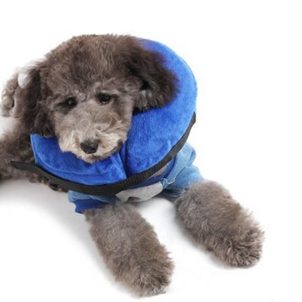 protective inflatable pet collar