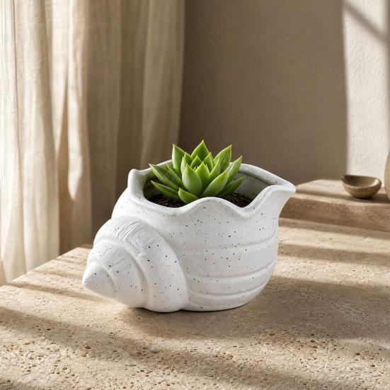 3D Printed Conch Flower Pot Moisture-Resistant Mini Planter with Wavy Edge And Drain