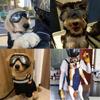 Anti-Fog Dogs Goggles Adjustable Strap Dog Eye Wear Protection Pet Glasses  Medium Large Dogs