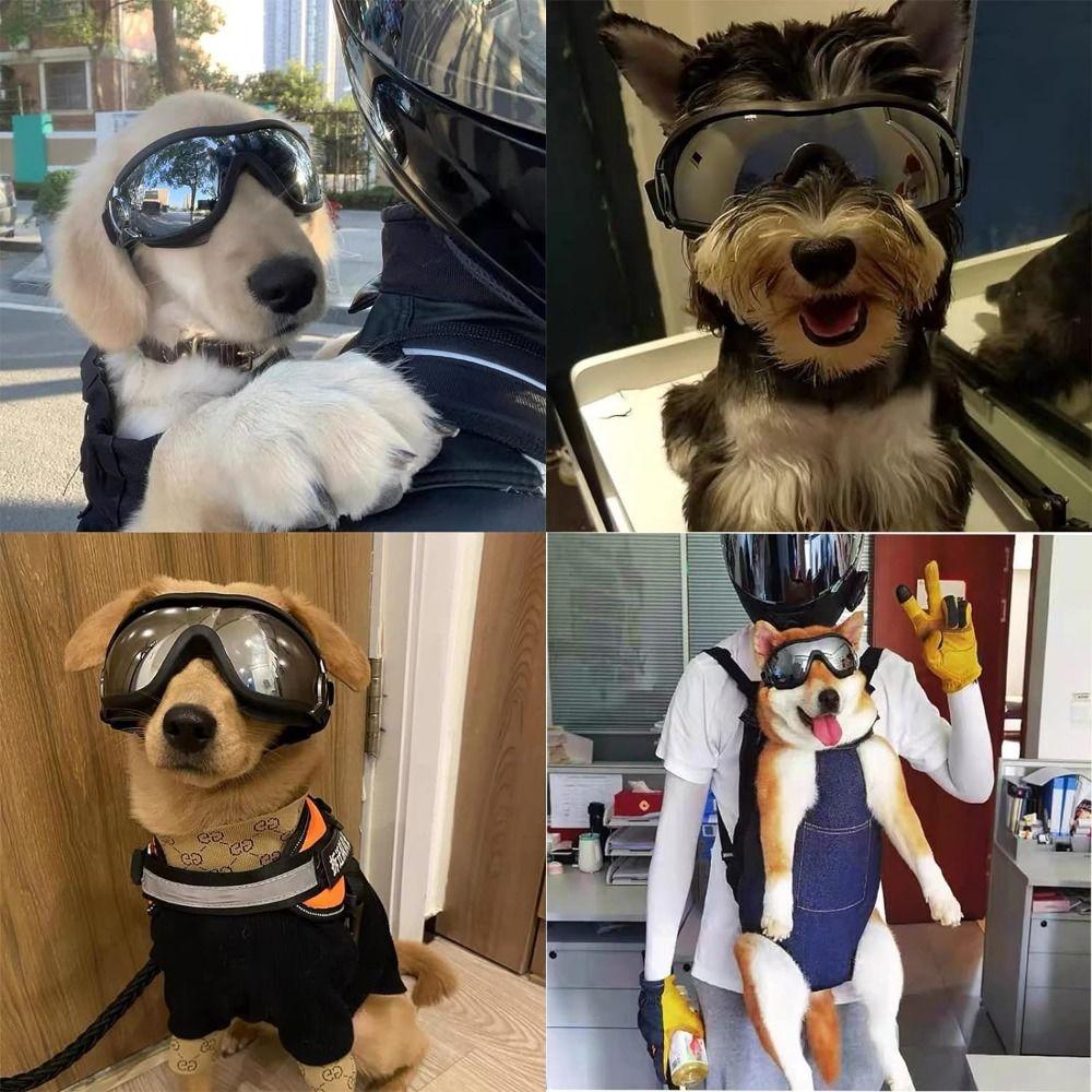 Anti-Fog Dogs Goggles Adjustable Strap Dog Eye Wear Protection Pet Glasses  Medium Large Dogs