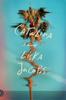Kniha Catalina : A Novel