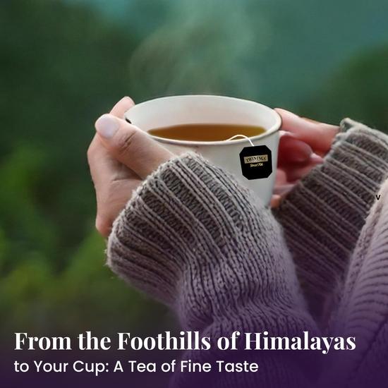 Twinings Darjeeling Tee, 25 Teebeutel | Packung mit 1 | Premium Schwarzer Tee | Leichte Stärke | Von Darjeelings feinsten Gütern | Leichter & Delikater Geschmack