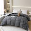 All-Season Thickened Warm Duvet Insert
