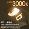 Carmate GIGA Car LED Interior Compatible with and G14 Compact Plate Equipped with 6 Bright Warm 1 BW261 Lamp, T10, T8x29, T10x31, Bulbs, 3000K, 150lm,