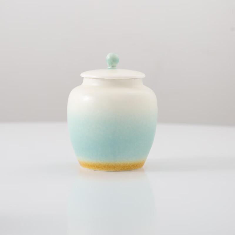 Gradient Ceramic Tea Caddy