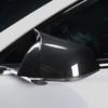 Carbon Fiber Style Horn Rear View Side Mirror Covers Cap For Tesla Model 3 17-23