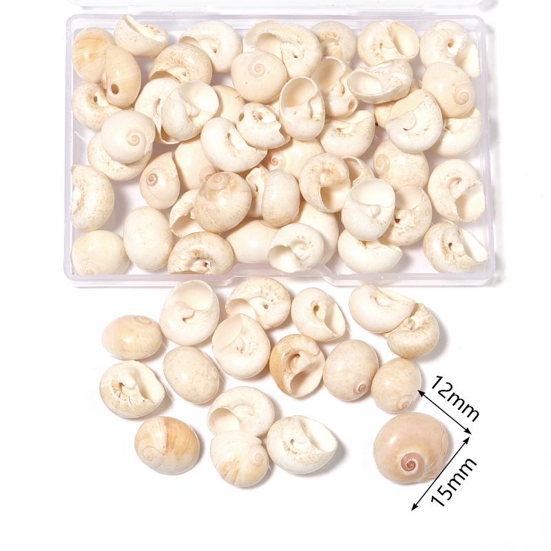 1 Box Sea Shell Spiral Shell Tiny Ocean Spiral Seashell Conch Crafts Aquarium Decoration Landscaping Accessory Photography Props