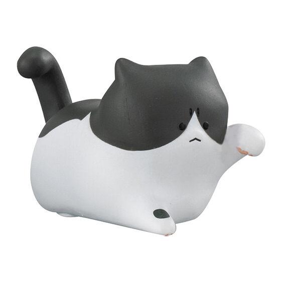 Japanese Genuine Gacha Scale Model The Angry Cat Series of Cute Figurines Tabby Siamese Cat Action Figure Toys