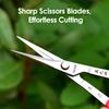 Grape Scissors Pruning Shears W/ Tweezers Garden Tool Vegetable Patch Bonsai Professional Joinery Stainless Steel Fruit Picking