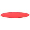 Phonograph Wool Pad Antiskid Shockproof Turntable Red Mat for Record Players 30cm