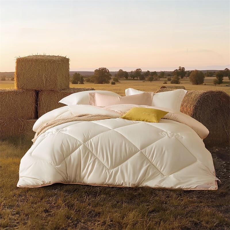 Mercury Home Textile Deep Sleep 100% Australian Wool Quilt 220x240cm