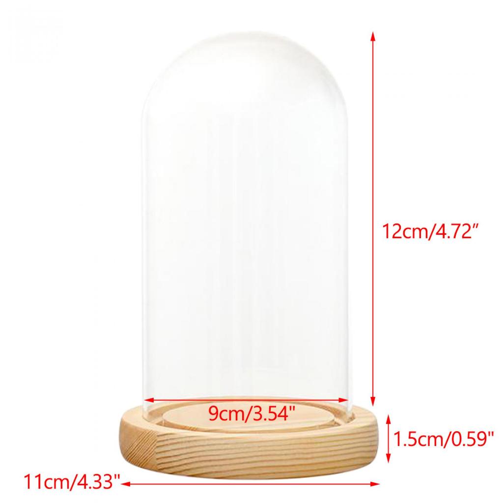 Clear Glass Display Dome with LED Wood Base Microlandscape Holder Glass Cover for Birthday Gift Bedroom Home Decoration