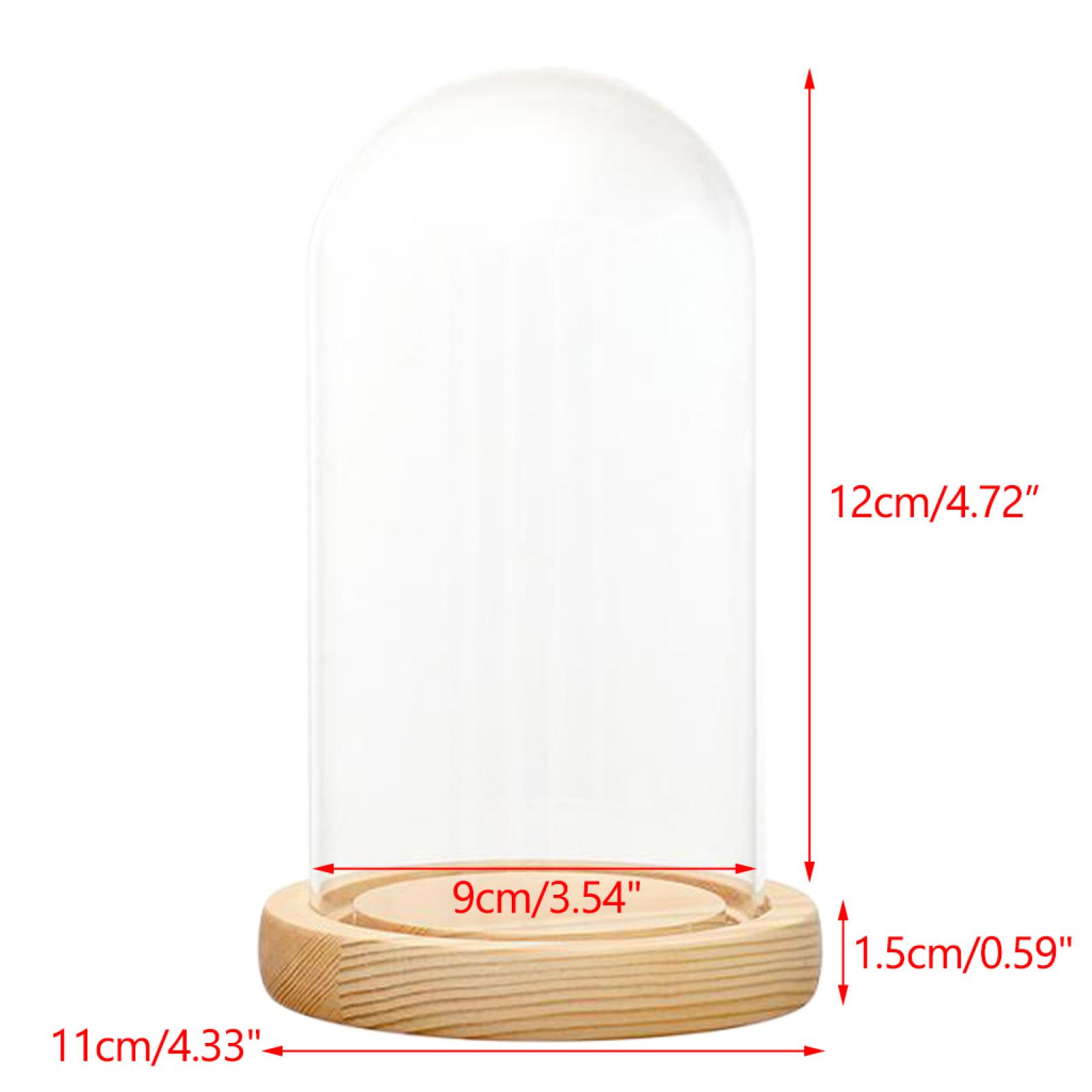 

Clear Glass Display Dome with LED Wood Base Microlandscape Holder Glass Cover for Birthday Gift Bedroom Home Decoration