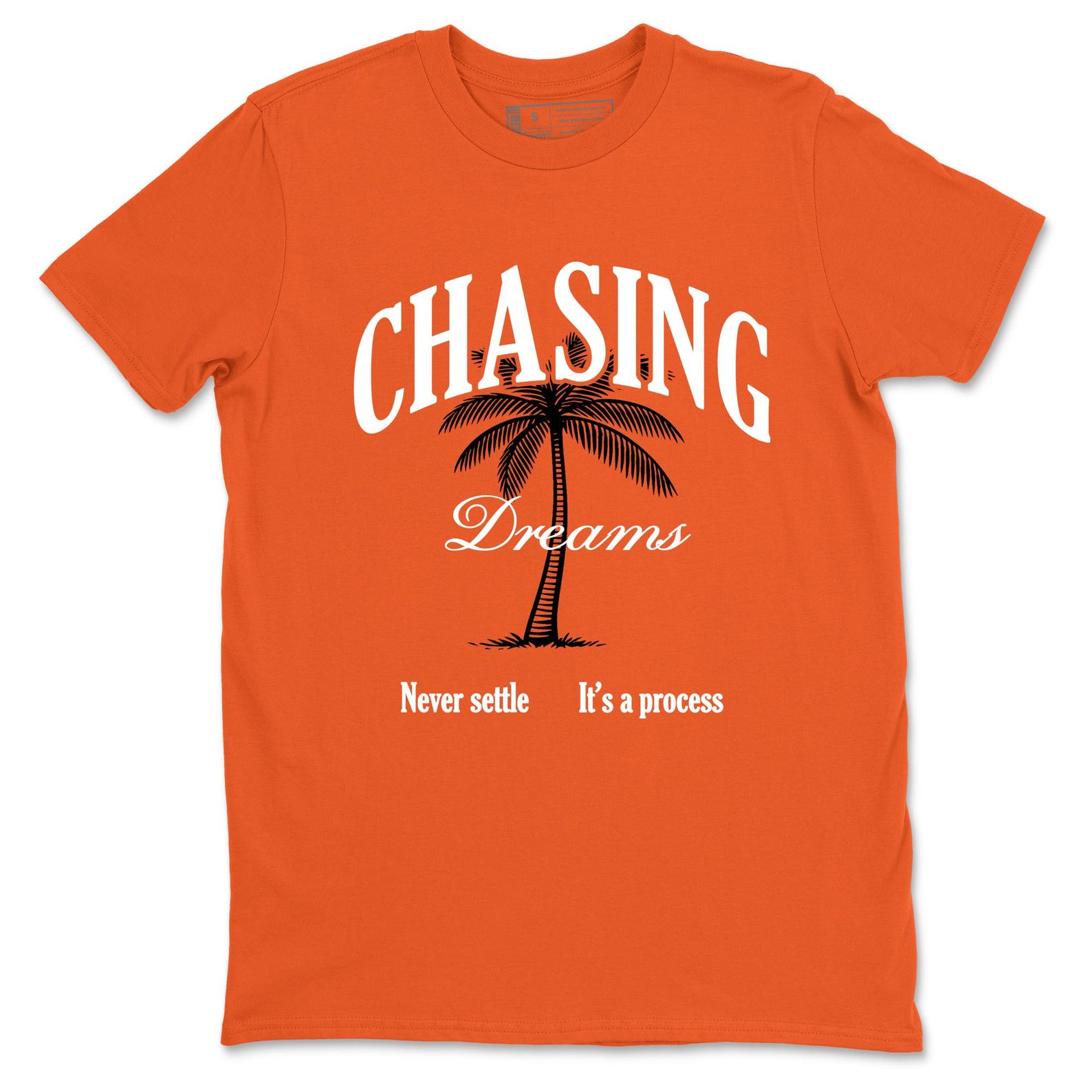 Chasing Dreams graphic tee. Streetwear graphic T-Shirt. Matching 1s Shattered Backboard S
