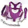 Hundegeschirr aus Leder mit Nieten, Halsband und Leine, Set für mittelgroße und große Hunde