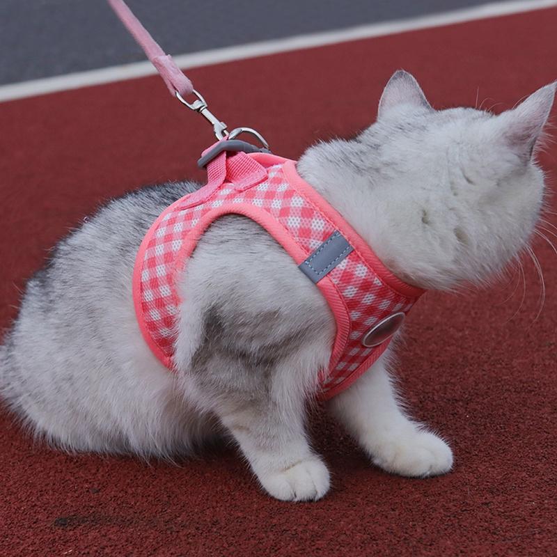 Pet Dog Cat Harness with Leash Reflective Strap Harness