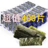 Organic Roasted Seaweed Snack, Natural Sea Salt, 400 Individual Sheets, Healthy Energy Boost