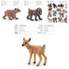 Squirrel Animal Model Set With Pvc Realistic Figures For Educational Play And Collecting Enthusiasts