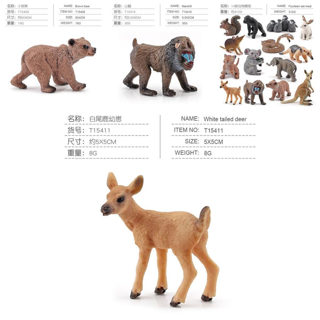 Squirrel Animal Model Set With Pvc Realistic Figures For Educational Play And Collecting Enthusiasts