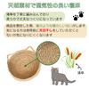 Cat Cattail with Japanese-style Bed, Grass, Wisteria, Rattan, Cushion, Natural, Handwoven, Breathable, All-Season (Blue, Small)