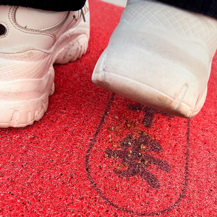 Cartoon Door Mat: Sand Scraper, Wear-Resistant, Anti-Slip, Easy-to-Clean