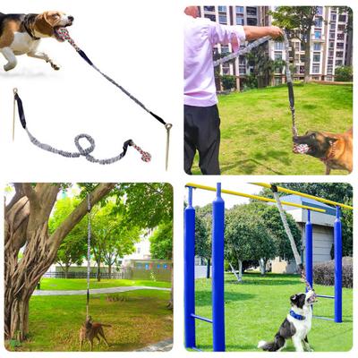 Hunde Bungee Zerrspielzeug Outdoor Tether Zerrspielzeug mit Hering für große mittelgroße Hunde Unzerstörbares Baumwollseil Hundekauspielzeug für aggressive Kauer