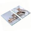 Two Decorative Tempered Glass Chopping Boards Five Cats 2x40x52 Cm