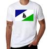 Flag of Puerto Montt, Chile T-Shirt graphic t shirts tees men graphic t shirts
