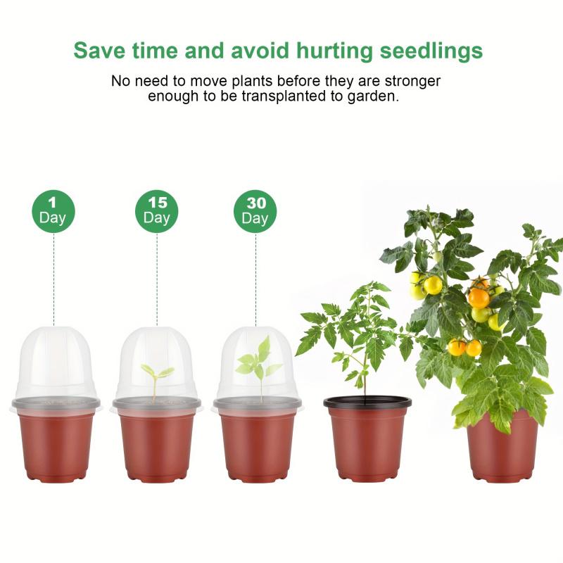Plant Nursery Pot20-40Personal Reusable Moisturizing Breathable Round Transparent Lid Seedling Tray Planting Tool