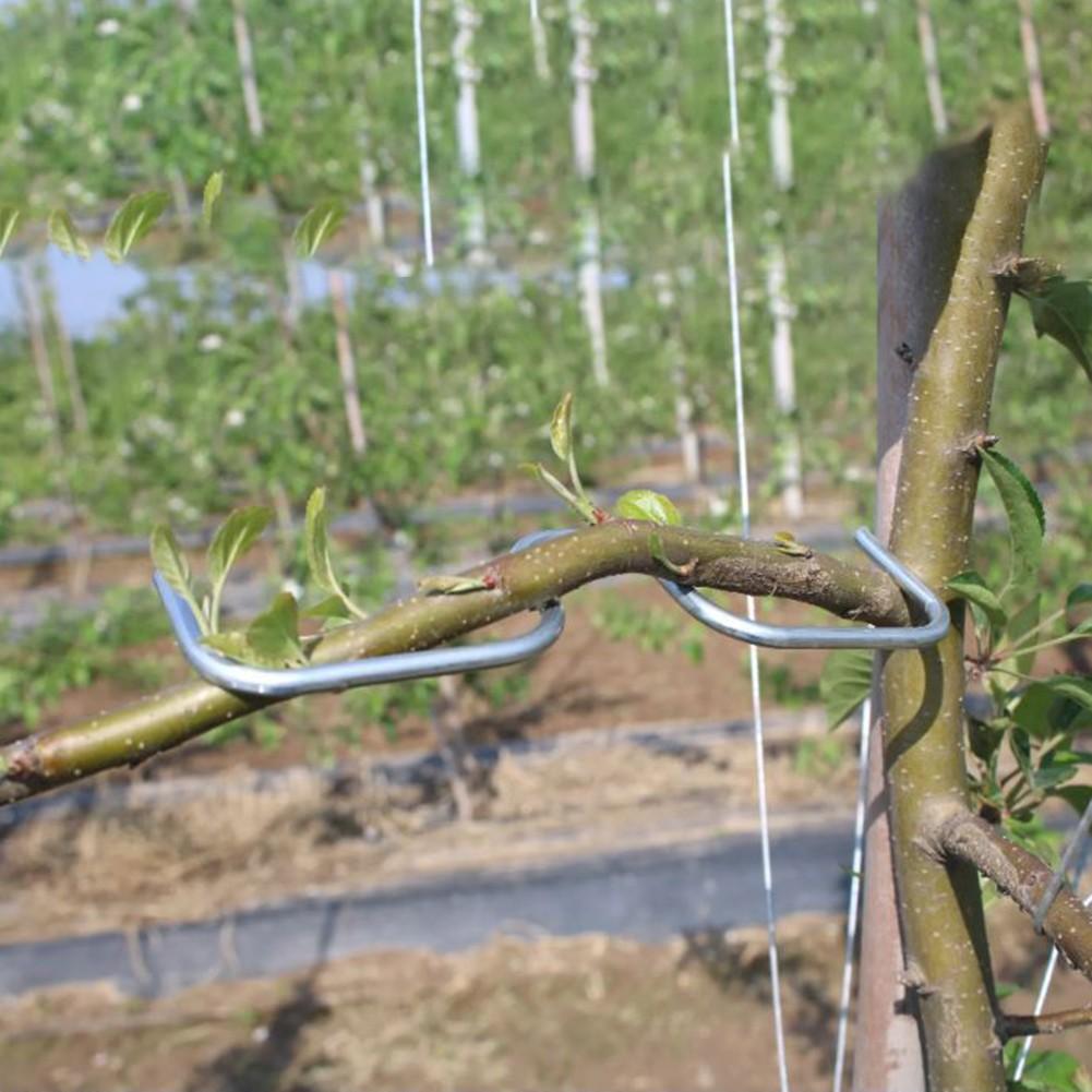 Obstbaum-Zweigformer, Gartenpflanze, Stammclip