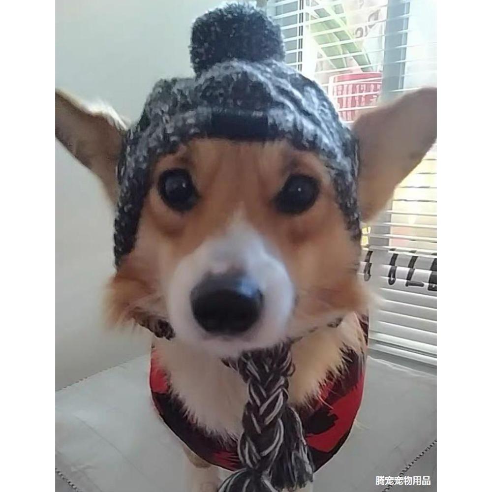 New Pet Headgear Autumn and Winter Hairball Warm and Antifreeze Wind Fluffy Ball Knitted French Bucket Large and Small Dog Knitted Hat