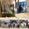 CUTE AAlaskan Malamutes Cushion Cover Pillowcase Antidustmite Living Room Sofa Decor Cushion Room