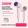 2000W 5th Gear Professional Hair Dryer Negative Lonic Blow Dryer Hot Cold Wind Air Brush Hairdryer Strong PowerDryer Salon Tool
