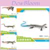 Model Realist din Plastic Reptilă Amfibie Pentru Decor Acasă Afișaj Șopârlă Cameleon Realist