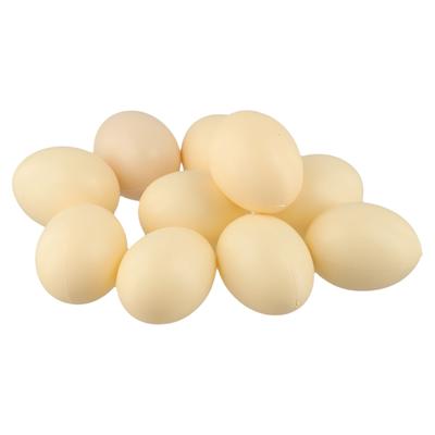 DIY Easter Eggs Fake Chicken Eggs Poultry Education DIY Easter Projects Smooth Edges Educational Purposes High Quality Plastic